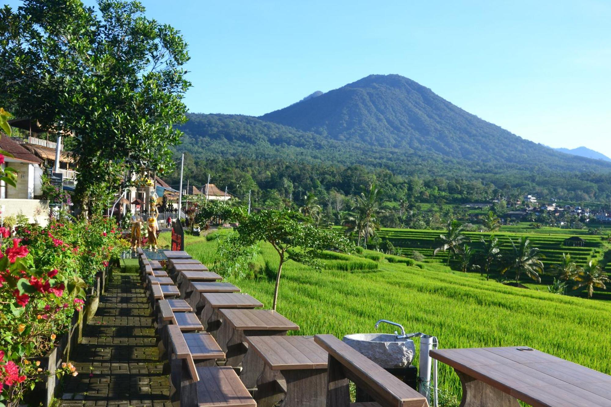 Bhuana Agung Villa And Restaurant Jatiluwih Exterior photo